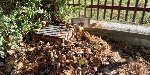 budka dla jeża w ogrodzie przedszkolnym obsypana liśćmi