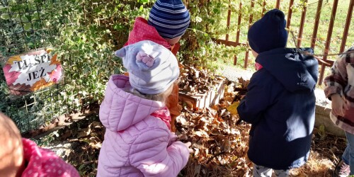 dzieci obsypują liśćmi domek dla jeża
